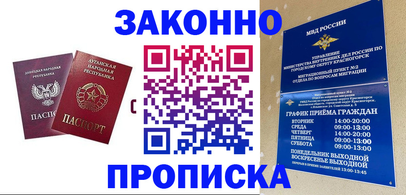прописка в Камышлове